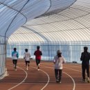 고덕체육공원 육상트랙 | 안산에 등장한 ‘비닐트랙’, 시민 반응이 왜 이렇게 좋을까요?
