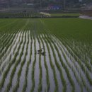 뮈토스펜션 이미지