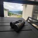 바른과학 | 아이들도 사용하는 가벼운여행용 고배율쌍안경 가성비 좋은 바른과학 망원경 추천 후기