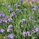 북부농약사 이미지