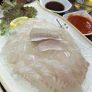 오징어나라 이미지