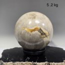 화석(규화목) | 자연이 빚어낸 원형의 에너지, 화석공(化石球)의 깊은 안정감