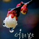 ✴️금주의 음악편지. (2025.06.15.일) 🎵노래:세상은 요지경 #️⃣미스터 트롯36회 이미지