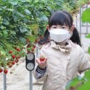 선혜유치원 이미지