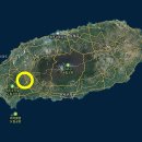 서귀포국제공인중개사사무소 이미지