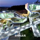 테마 애견 이미지