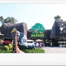 기린07-1 | 뜨고있는 가족 여행지 푸꾸옥 4박 5일 여행 빈펄사파리 키드주키퍼 기린체험 완벽후기