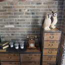 카페아른 이미지