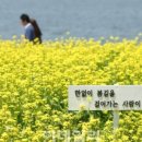 으뜸농원 이미지