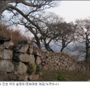 숲쟁이 이미지