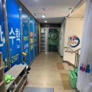 국가대표 영웅 태권도 이미지