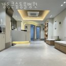 강동큰숲동물병원 | 강동구 둔촌동 동물병원 강동큰숲동물병원 위치 오는길 후기