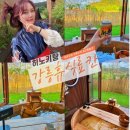 도고연담 풀빌라펜션 | [강릉펜션] 하노키탕이있는 강원도주문진감성숙소신축풀빌라‘휴식료칸’추천