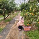 다육농가민박 이미지