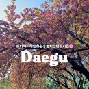 팡팡꽃화원