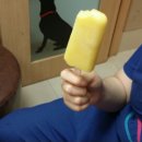 마린시티 종합동물병원 이미지