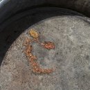 TM 모터스 이미지