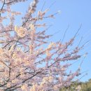 삼척엘림캠핑장 이미지