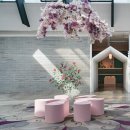 장천꽃박물관 이미지