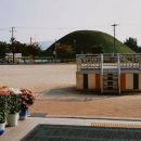 월성초등학교 이미지