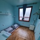 정동진놀자 이미지