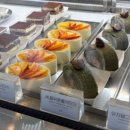 브레드댕댕 이미지