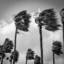 포메디한의원 이미지