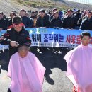 강원도개발공사 알펜시아