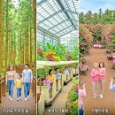 서귀포 동부 보건소 | 부모님 제주도 효도 여행 코스 추천: 걷기 편한 관광지 맛집 숙소 완벽 가이드