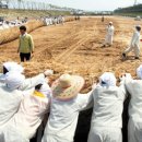 기네스북 오른 &#39;의령 줄다리기&#39; 이미지