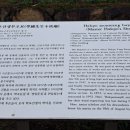 학포선생부조묘 이미지