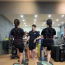 실내 근력운동 | [대치동PT] 마이크로스튜디오 대치 ★ 실내 전신 근력 강화 운동 추천 EMS 트레이닝 후기