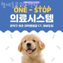 형제동물의료센터 이미지