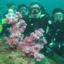 수중산책 이미지