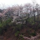 둥굴식당