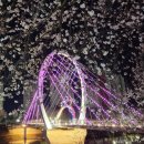 성신여중 앞 &#34;보행 전용도로&#34; 주. 야경 이미지