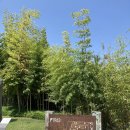 123모터스 | 실내 가볼만한곳 부산 복합문화공간 F1963 전시 카페 산책 후기