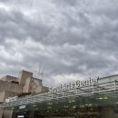 한국혈액암협회 지원 예술의전당 공연 다녀왔어요 이미지
