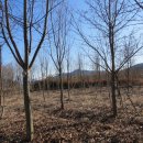 동녁농장 이미지