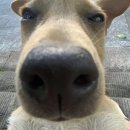 해남김안과의원 | 청주 김안과 후기(1) 시력교정센터 검사