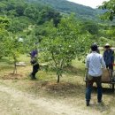 샬롬세탁 이미지