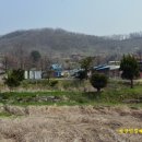 하얀민들레생태마을 이미지