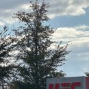 (주)엠앤엠디자인 | 미국여행 5일차 - 라스베가스 UFC센터, 라스베가스 사우스아울렛, 치폴레, 코카콜라, 엠엔엠즈(m&amp;m...