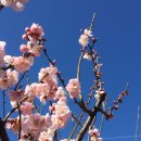 연화할매집 이미지