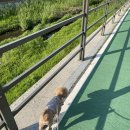 뭉티의 하루 이미지