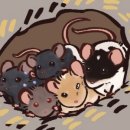 버드소리 대구수성점 이미지