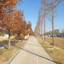 [2025.12.05] 왕송호수공원, 편안히 쉬고 걸을 수 있는 공원으로 정비! 外