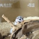 서산아크릴 네이버블로그