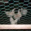 정모농장 이미지