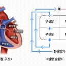 더블유인천심장동물병원